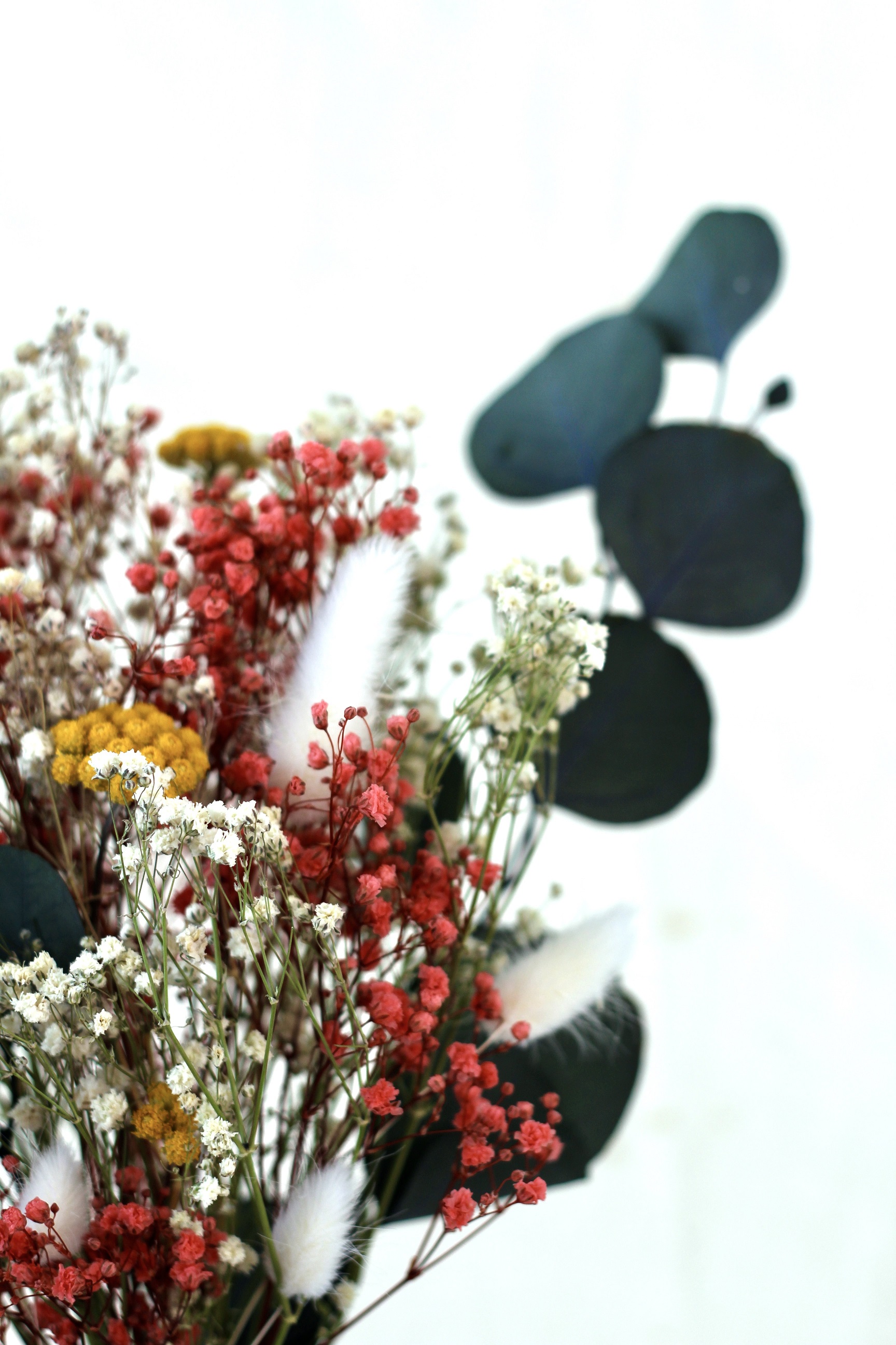 Photo bouquet en fleurs séchées